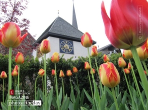 Lagundo by Mauro Squiz Daviddi