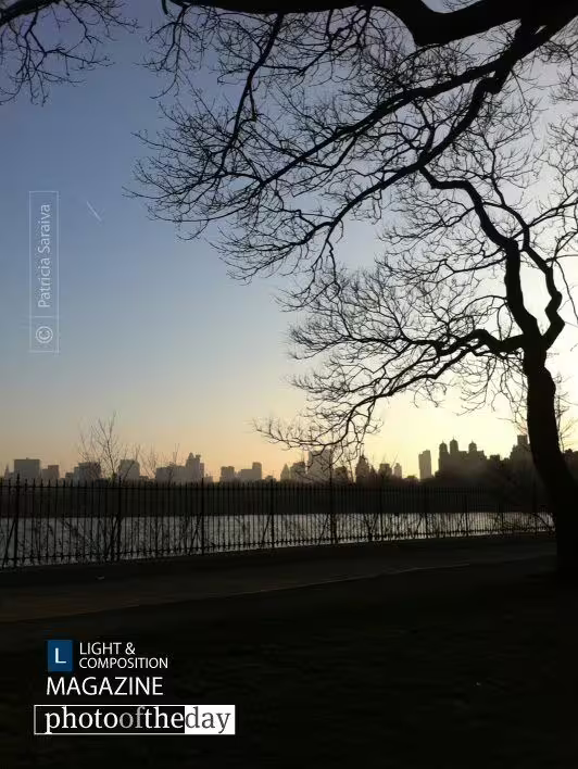 Sunset in Central Park by Patricia Saraiva