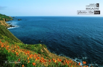 Happy View by Ronnie Glover