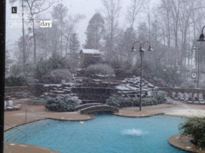 Winter Pool by Ann Arthur