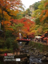 Color of Momiji by Madoka Hori