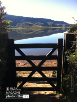 Behind the Fence by Patricia Saraiva