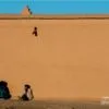 Seeking the Warmth by Abdellah Azizi