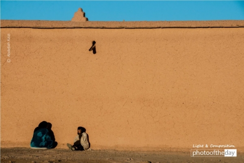 Seeking the Warmth by Abdellah Azizi