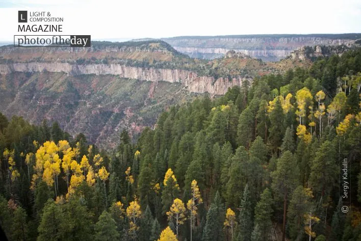 Autumn Colors of Grand Canyon by Sergiy Kadulin