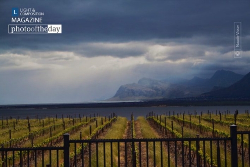 From the Western Cape by Naude Visser