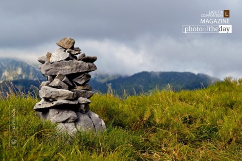 Together We Stand by Tina Primozic