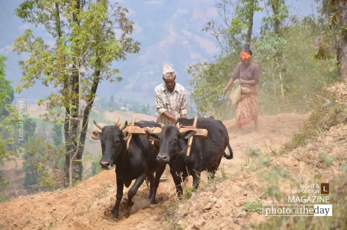 Farmers in Nepal by Lothar Seifert