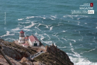 Vigil by Don Peterson