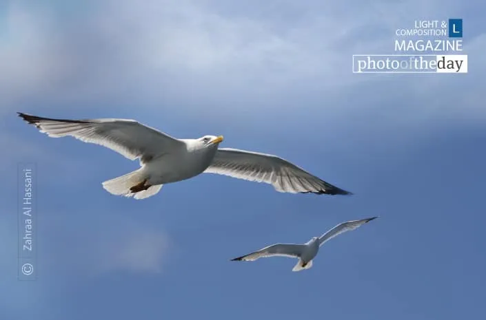 Escorting into the Blue by Zahraa Al Hassani