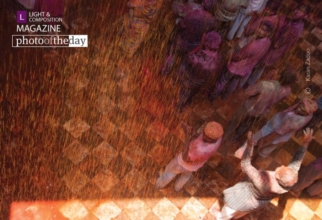 Ecstasy in Colors by Karan Zadoo