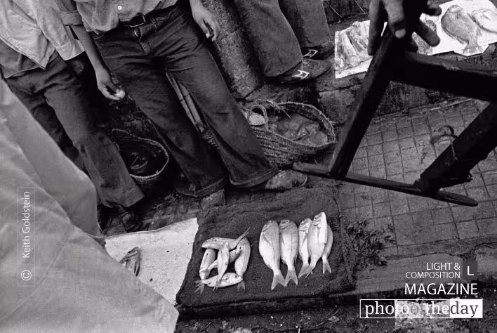 Fish Monger by Keith Goldstein