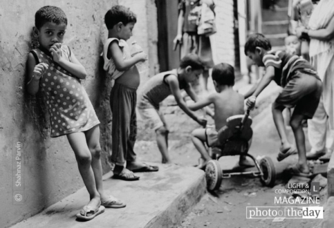 Single Frame by Shahnaz Parvin - Photojournalism, Street Photography, Documentary Photography, Photo of the Day, Shahnaz Parvin