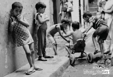 Photo of the Month — August 2013