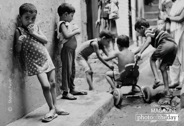 Photo of the Month | 2013 | August