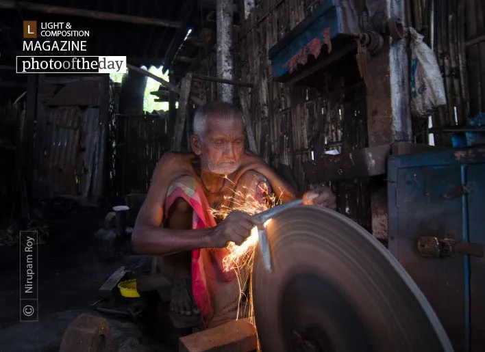 Life Long by Nirupam Roy