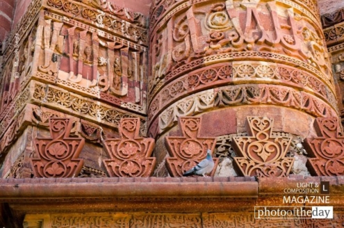 Qutb's Inscriptions, by Munish Singla - Architectural Photography, Photo of the Day, Photography Awards, Award Winning Photography,  Online Photography Courses