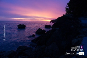 Sunset Boulevard by Rico Bueno Sumadia