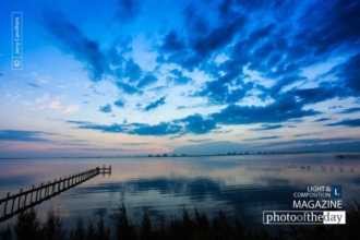 Morning Glory by Jerry Caruthers