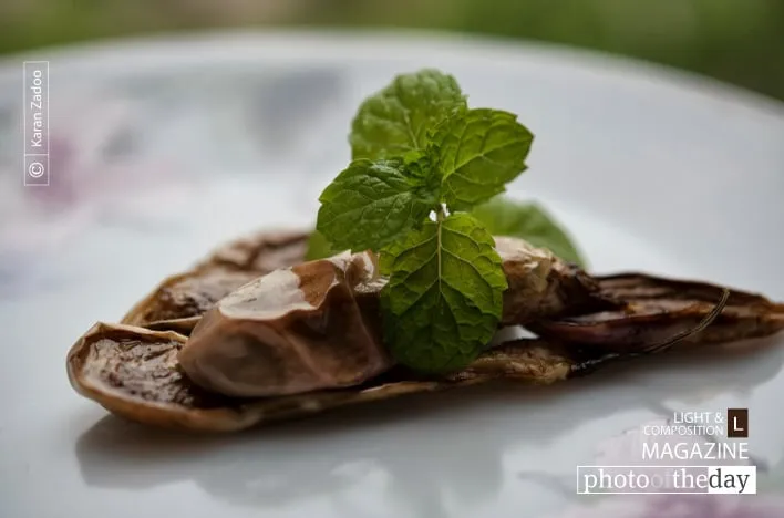 Fried Eggplant by Karan Zadoo