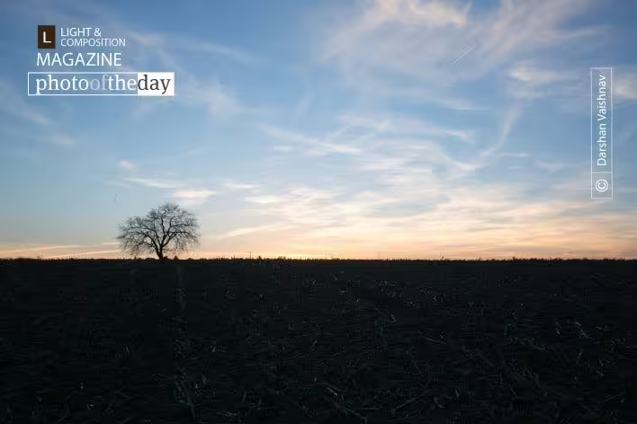 Tree, Field, and a Sunset by Darshan Vaishnav