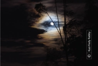 Moonlight Sonata by Kazi Fazly Rabby