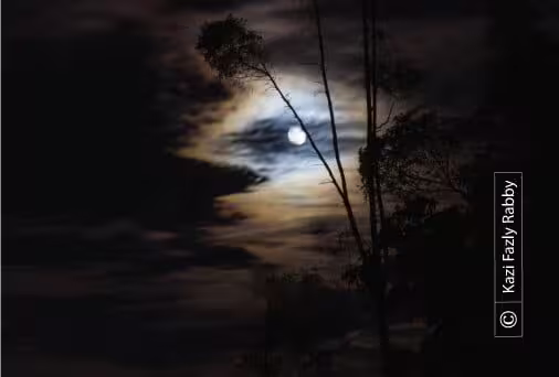 Moonlight Sonata by Kazi Fazly Rabby