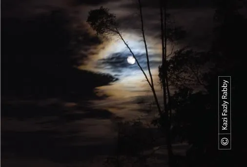 Moonlight Sonata by Kazi Fazly Rabby