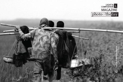 Three Fishermen, by Saniar Rahman Rahul - Photojournalism, Documentary Photography, Black and White Photography, Photography Awards, Art Photography