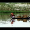 Rhythms of the Riverine Life by Shahnaz Parvin
