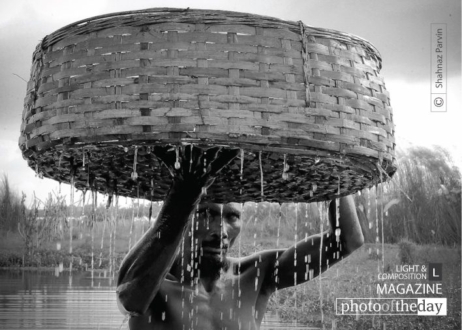 Boldness in the Look, by Shahnaz Parvin - Photojournalism, Documentary Photography, Portrait Photography, Photography Awards, Award-Winning Photography