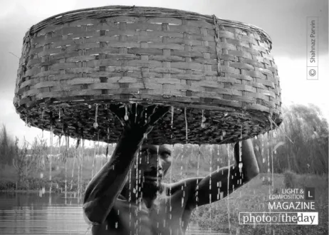 Photo of the Month — December 2013