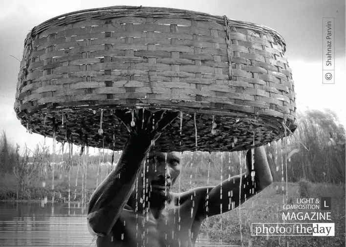 Photo of the Month — December 2013