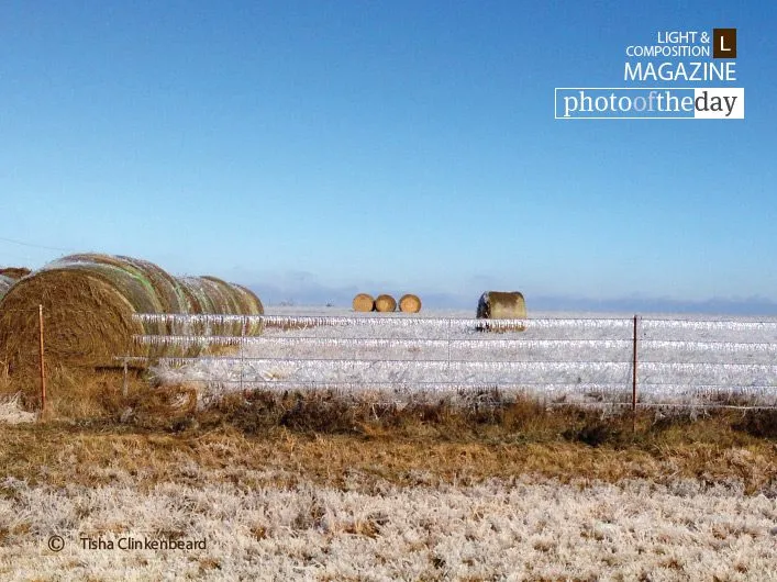 Ice Cold Hay, by Tisha Clinkenbeard - Nature Photography, Photography Award, Photo of the Day, Ice Storm Photography, Fine Art Photography