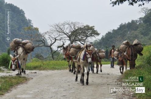 Walking Down, by Ryszard Wierzbicki - Travel Photography, Award Winning Photography, Photojournalism, Photography Awards, Himalayan Photography