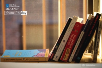 The Window by Faisal Khan