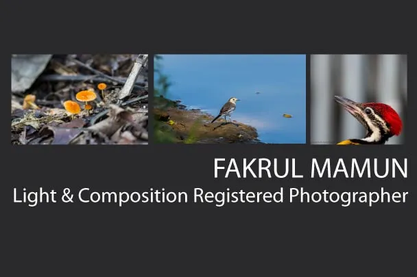 Fakrul Mamun
