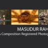 Masudur Rahman - Wildlife Photography, Bird Photography, Photojournalism, Photography Awards, Masudur Rahman