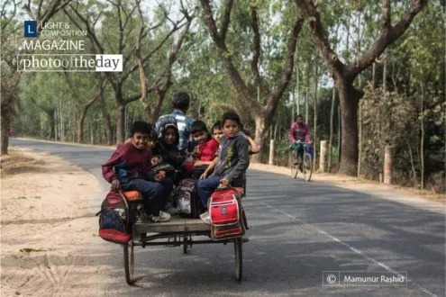 Going to School by Mamunur Rashid