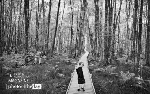 Photo of the Month — February 2014