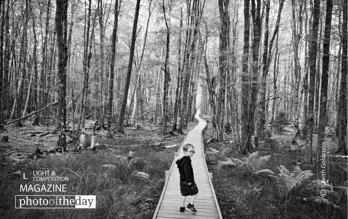 Photo of the Month — February 2014
