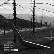 Geometry of Dead Forest by Sergiy Kadulin