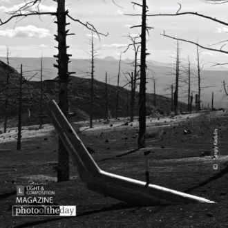 Geometry of Dead Forest, by Sergiy Kadulin - Nature Photography, Award Winning Photography, Photo of the Day, Landscape Photography, Fine Art Photography