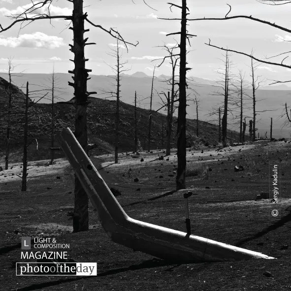 Geometry of Dead Forest by Sergiy Kadulin