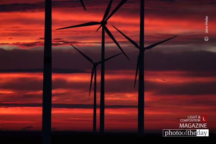 Silhouettes in the Blood Red by Jens Hieke