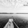A Boat in the Wetland, by Saniar Rahman Rahul - Photojournalism, Black and White Photography, Art Photography, Photography Awards, Online Photography Courses