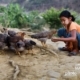 A Young Tribal Girl, by Shahnaz Parvin