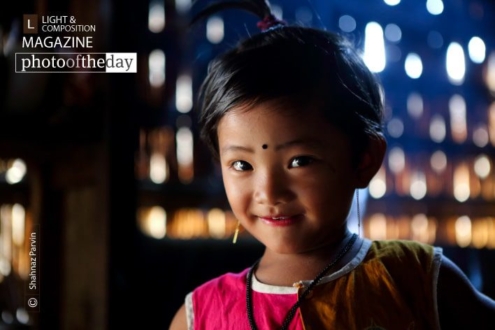 Absolutely Adorable by Shahnaz Parvin