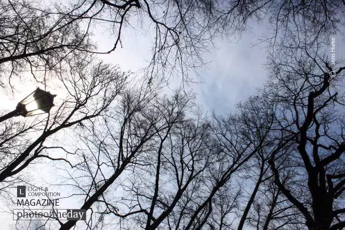 Lantern and Treetops by Jens Hieke
