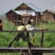 Inle Lake Hooligans, by Ryszard Wierzbicki